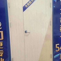 木质防火门，河北防火门,生产防火门，阆阆防火门